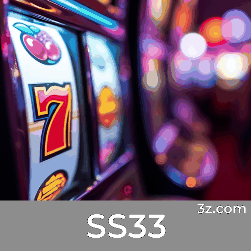 SS33